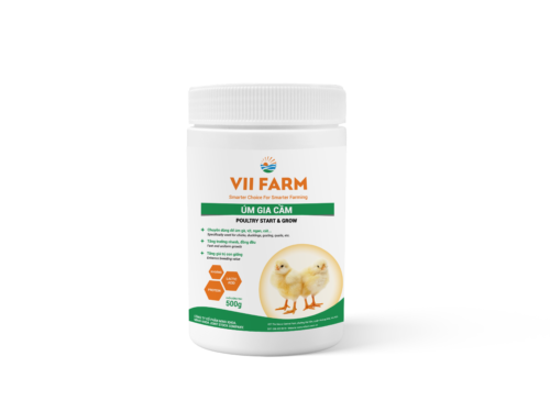 Úm gia cầm VII FARM