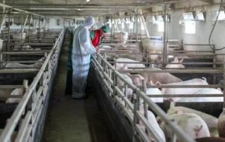 Thương hiệu VIIFARM đồng hành cùng người nông dân