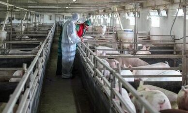 Thương hiệu VIIFARM đồng hành cùng người nông dân