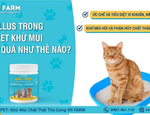 COMBO SẠCH TOÀN DIỆN CHO THÚ CƯNG