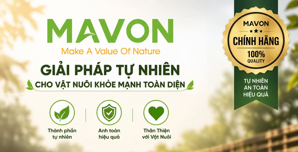 TAI SAO CHON MAVON